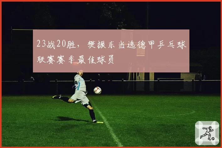 23战20胜,樊振东当选德甲乒乓球联赛赛季最佳球员