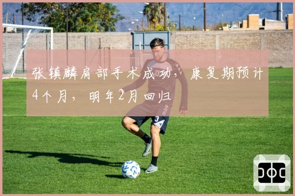 张镇麟肩部手术成功,康复期预计4个月,明年2月回归