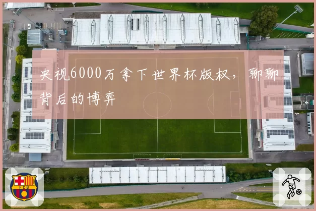 央视6000万拿下世界杯版权，聊聊背后的博弈