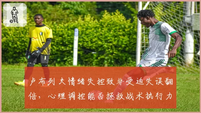 卢布列夫情绪失控致非受迫失误翻倍，心理调控能否拯救战术执行力？