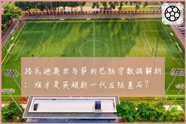 格瓦迪奥尔与萨利巴防守数据解析：谁才是英超新一代后防基石？