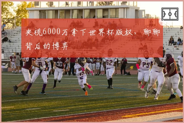 央视6000万拿下世界杯版权，聊聊背后的博弈