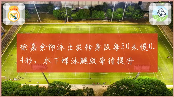 徐嘉余仰泳出发转身段每50米慢0.4秒，水下蝶泳腿效率待提升